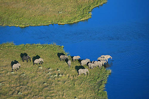 Des chutes Victoria à l'Okavango
