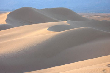 Des Oasis et des Dunes                                                      