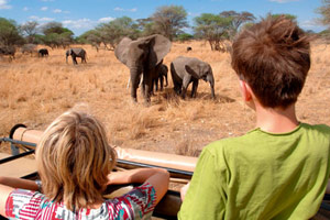 Des terres Masaïes au N'Gorongoro