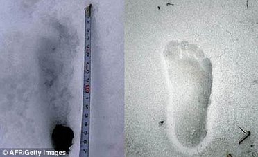 Des traces de Yeti