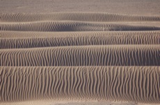 DESERT DE LOMPOUL ET DELTA DU SALOUM