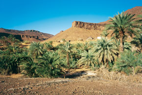 Du camp de Tivoujar à Chinguetti