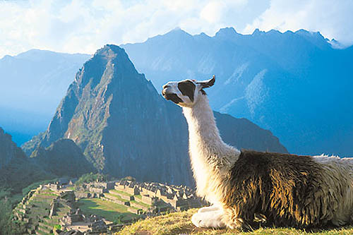 Du Chemin de l´Inca au lac Titicaca