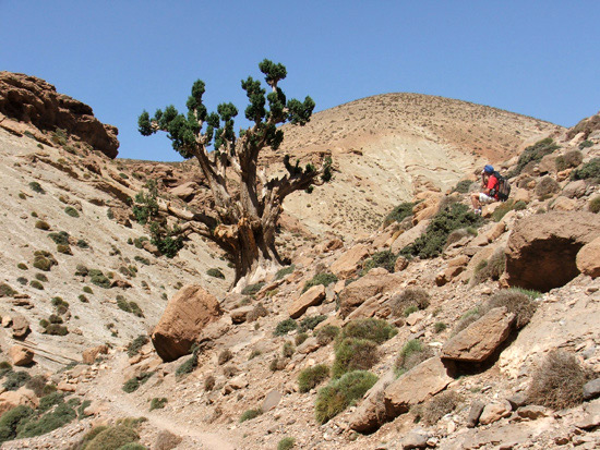 Du M'Goun au Toubkal