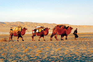 Dunes et cimes de l'Altaï
