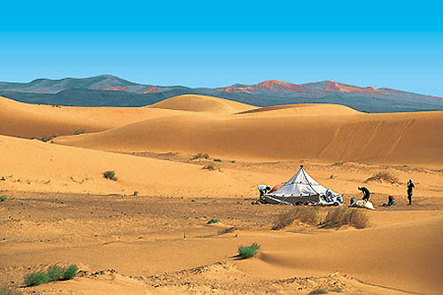 Dunes et palmeraies de l´oued Drâa