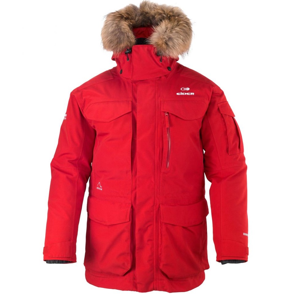 Eider Ungava