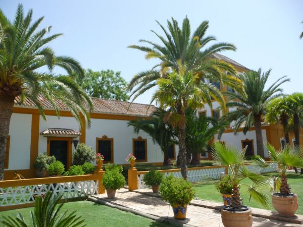 En famille - Andalousie chic & authentique en cortijo