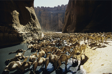 ENNEDI ETERNEL