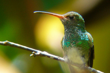 Equateur, la Nature aux mille visages