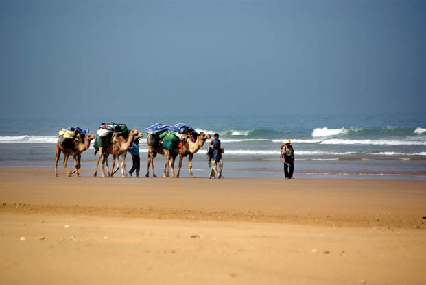Essaouira et la c&ocirc;te Atlantique