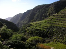 EXOTIQUE GOMERA - LIBERTE