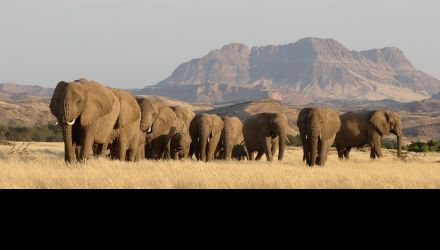 Expédition namibienne entre bivouacs et lodges confortables
