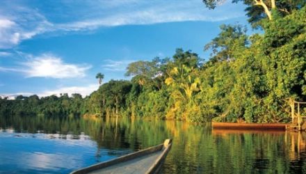 Extension en Amazonie