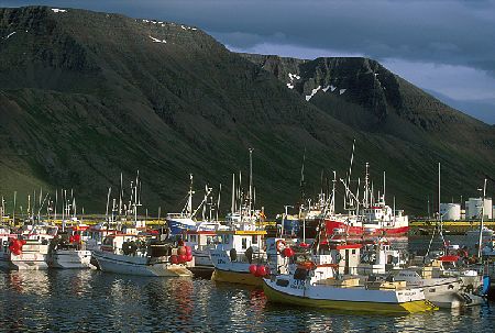 Fjords et lumières islandaises