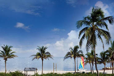 Floride Tropicale                                                            