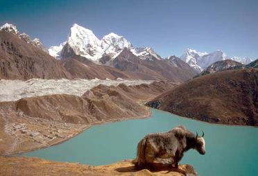 Gokyo, Katla et boulet de retour