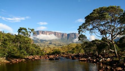 Gran Savana, delta de l'Orenoque et côte Caraïbe