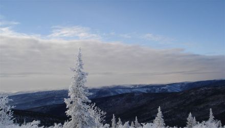 Grand Nord, traîneau à chiens au Yukon