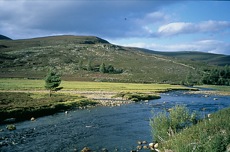 HIGHLANDS ET ILE DE SKYE LIBERTE