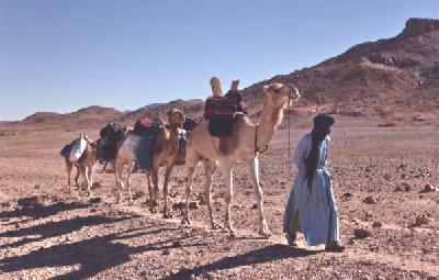 HOGGAR INCONNU