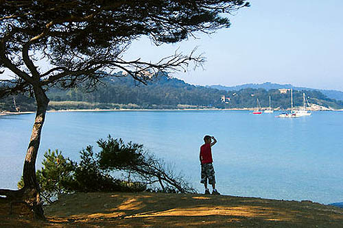 Iles de Porquerolles et de Port-Cros