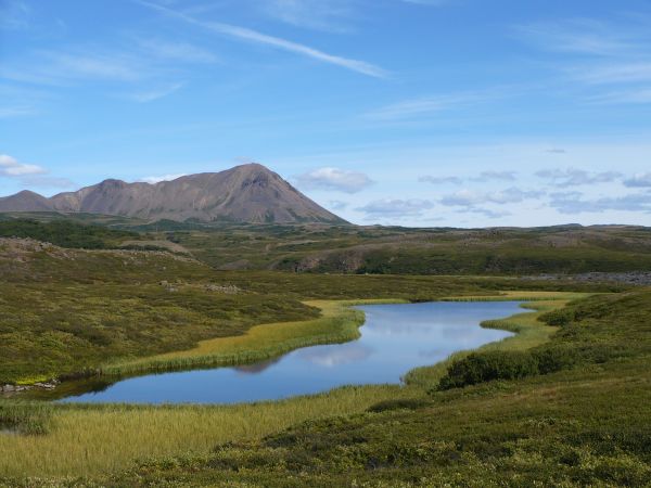 Islande - Geysers et glaciers