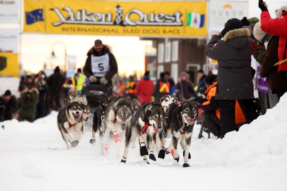 J'ai participé à la Yukon Quest