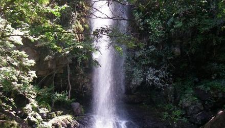 Jungle, mer et volcans