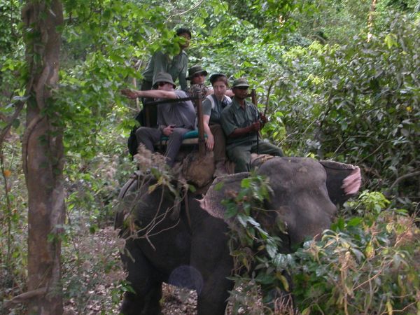 Jungle Trip au Népal