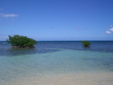 KARUKERA, L'îLE AUX BELLES EAUX