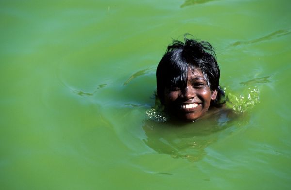 La découverte de l´Inde du Sud