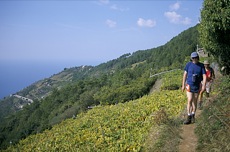 LA DOLCE VITA