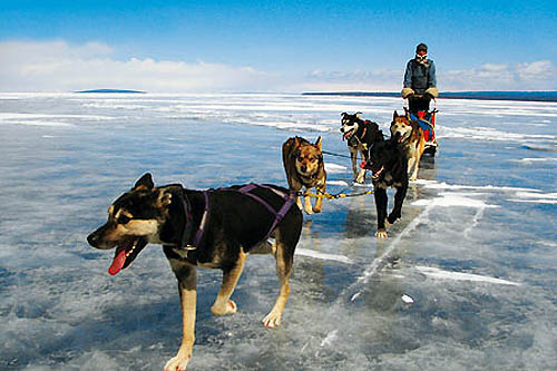 La grande aventure nordique de Khuvsgul