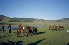LA GRANDE CHEVAUCHEE