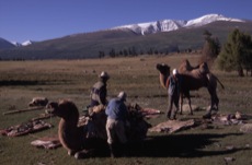 LA GRANDE TRAVERSEE DE LA MONGOLIE