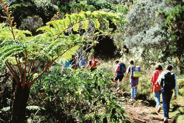 La Rando Bourbon, entre cirques et pitons