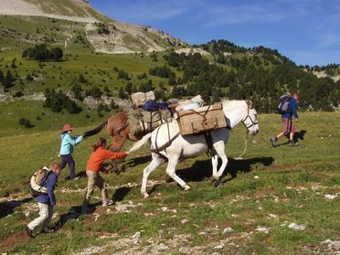 La randonnée à mule