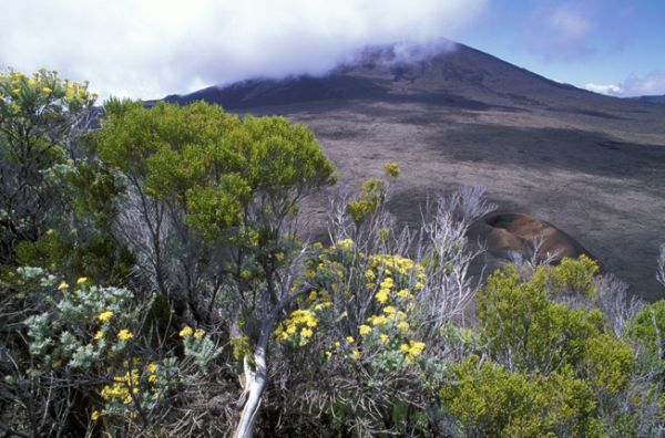 La Réunion : île-volcan