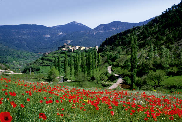 LA SIERRA DE CADI Parc naturel de Moixero