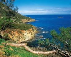 LA TERRE D'APHRODITE