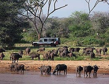 Lac Turkana et peuplades du Rift