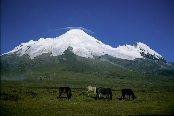 L'Allée des Volcans