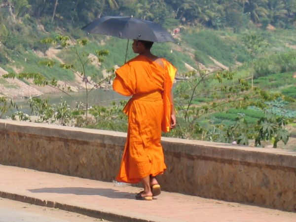 Laos - Cambodge: les beautés cachées du Mékong