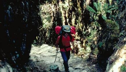 Le Chemin de l'Inca !