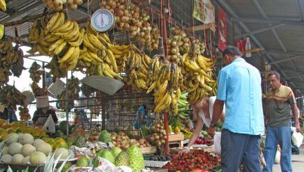 Le Costa Rica en Liberté