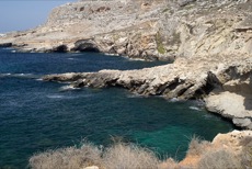 LE FAUCON MALTAIS (CONFORT)