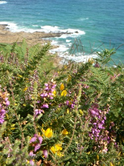 LE GOLFE DU MORBIHAN