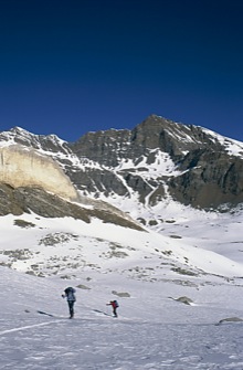 LE GRAND PARADIS