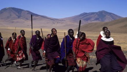 Le grand safari du Kenya